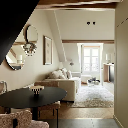 Luxury Flat In Le Marais Paris
